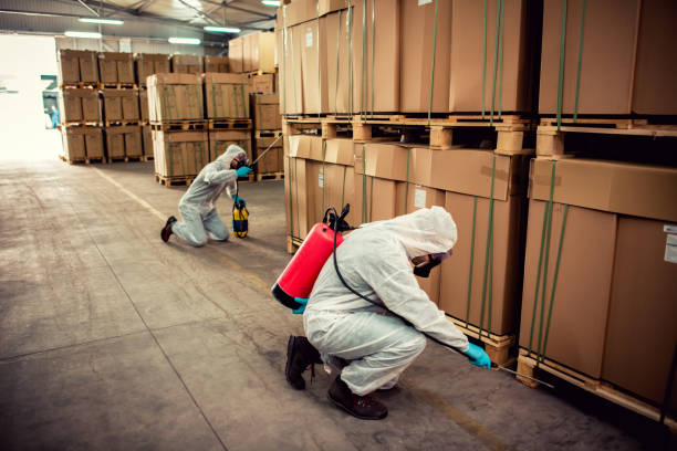 Best Pest Removal Services  in Flowing Wells, AZ
