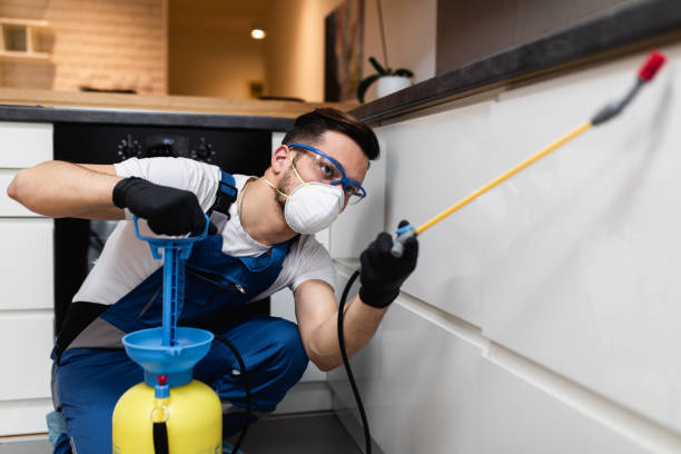 Best Ant Control Services  in Flowing Wells, AZ
