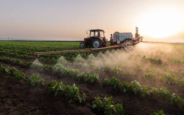 Insect Control in Flowing Wells, AZ