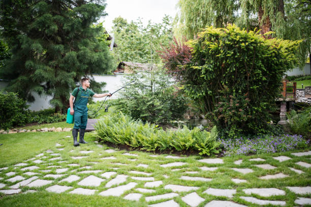Best Affordable Pest Control Services  in Flowing Wells, AZ