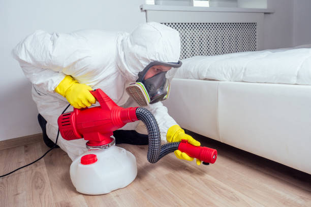 Professional Pest Control in Flowing Wells, AZ