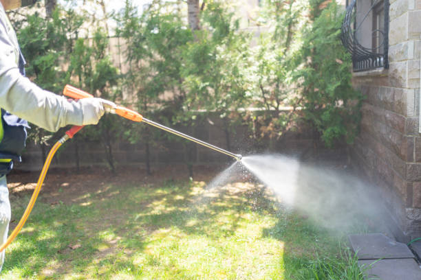 Best Local Pest Control Services  in Flowing Wells, AZ
