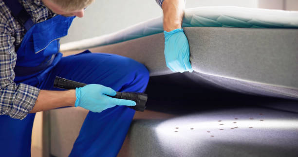 Best Pest Control Near Me  in Flowing Wells, AZ
