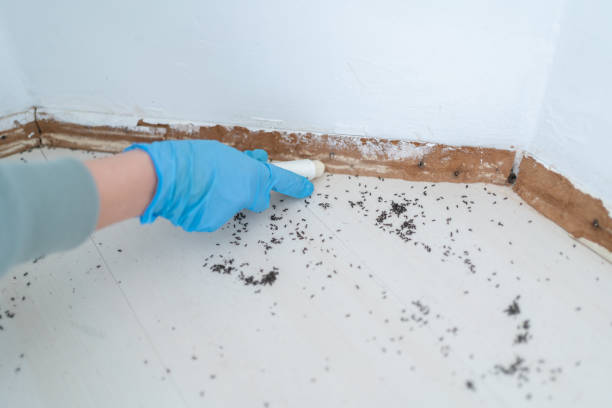  Flowing Wells, AZ Pest Control Pros