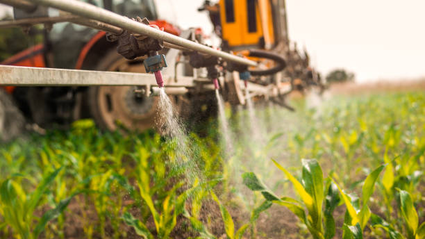 Best Commercial Pest Control Services  in Flowing Wells, AZ